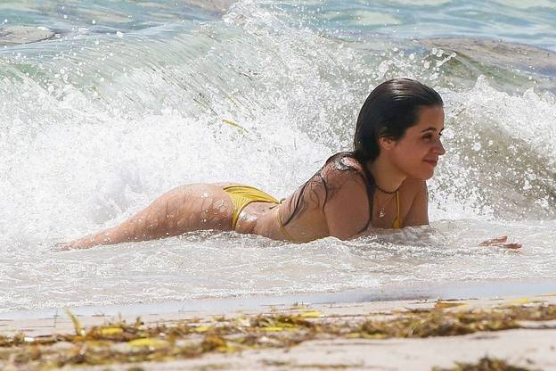 Camila Cabello Sexy 33