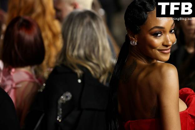Jourdan Dunn Sexy 1