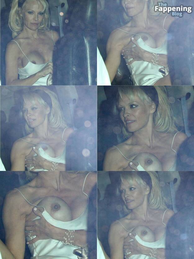 Pamela Anderson Naked 1